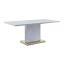 Gray High Gloss Table