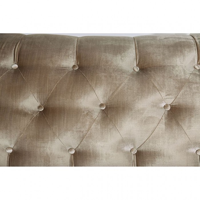 Sofa and Love Seat Details